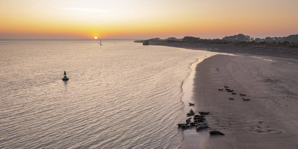 France, Somme (80), Baie de Somme, Le Hourdel, alors que le soleil se lève tout juste, les premiers bateaux empruntent le chenal pour quitter la baie et passent à proximité des phoques sur les bancs de sable et du blockhaus // France, Somme (80), Baie de Somme, Le Hourdel, as the sun just rises, the first boats take the channel to leave the bay and pass close to the seals on the sandbanks and the blockhouse