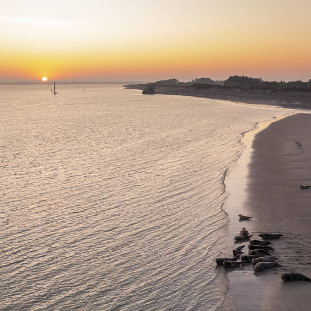 France, Somme (80), Baie de Somme, Le Hourdel, alors que le soleil se lève tout juste, les premiers bateaux empruntent le chenal pour quitter la baie et passent à proximité des phoques sur les bancs de sable et du blockhaus // France, Somme (80), Baie de Somme, Le Hourdel, as the sun just rises, the first boats take the channel to leave the bay and pass close to the seals on the sandbanks and the blockhouse